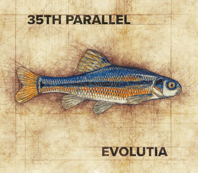 35th Parallel Evolutia album artwork, front cover